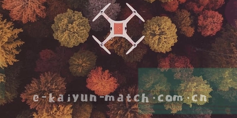 盾牌与数据线条的抽象图，象征隐私保护与数据安全
